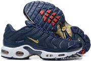 Nike Air Max TN 8909-467